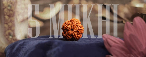 Difference Between Five Mukhi Rudraksha and Other Mukhi Rudrakshas